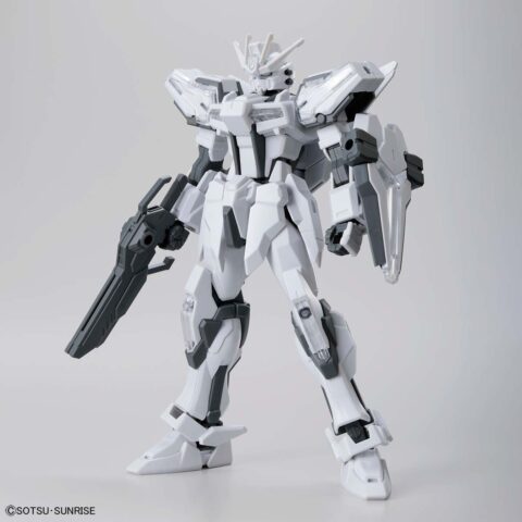ENTRY GRADE 1/144 ガンダムベース限定 ビルドストライク エクシードギャラクシー [ペインティングモデル]