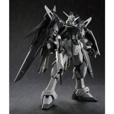ＲＧ 1/144 デスティニーガンダム ディアクティブモード