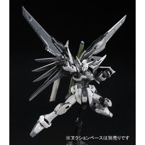 ＲＧ 1/144 デスティニーガンダム ディアクティブモード