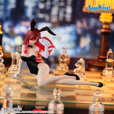 FAIRY TAIL　Yumemirize　‐エルザ・スカーレット‐