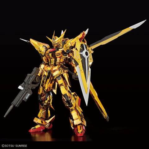 RG 1/144 ガンダムベース限定 アカツキガンダム(オオワシ装備) & HG 1/144 ゼウスシルエット + カスタムジョイントパーツセット