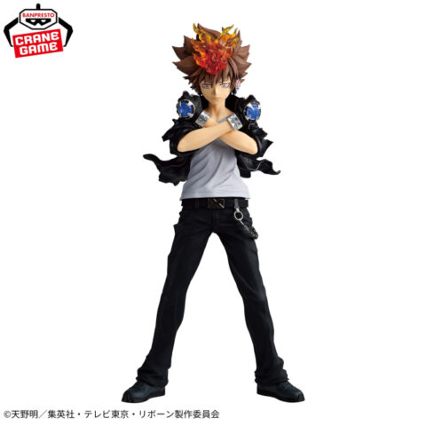 家庭教師ヒットマンREBORN! Grandista-TSUNAYOSHI SAWADA-
